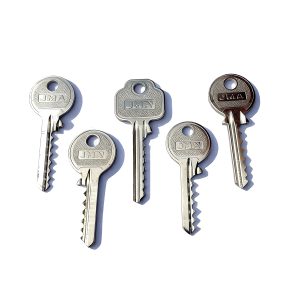 Bump Keys